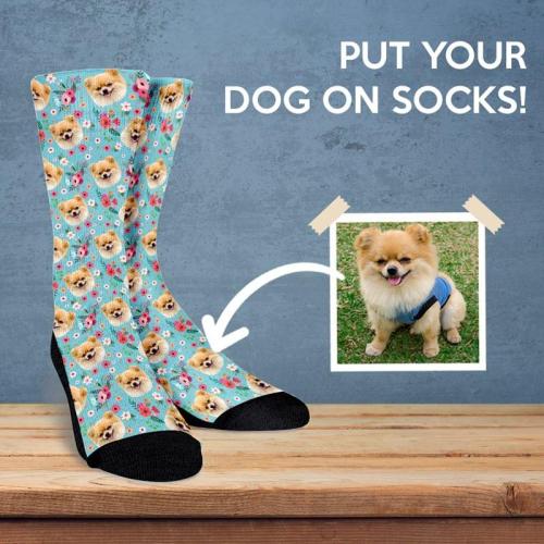 Custom_Dog_Socks